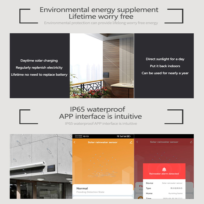Tuya Zigbee Sensor Hujan Perin - Home Automation Tutorial ulasan dan harga
