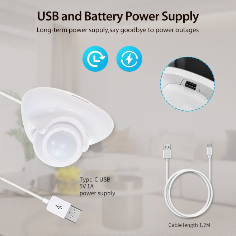 Sensor Gerak Kehadiran Manusia - Matter Hub Thread ulasan dan harga